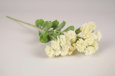 a525nn Sedum artificiel cr�me H56cm