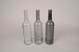 A552U7 Assorted glass bottle D7cm H29.5cm