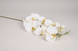 a631nn Phalaenopsis artificiel blanc H105cm