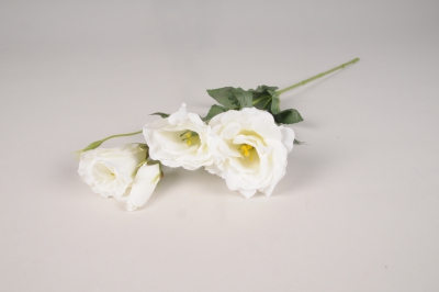 a659nn Lisianthus artificiel blanc H53cm