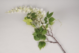 a664nn White artificial wisteria L145cm