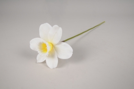 a676nn Cream artificial daffodil H40cm