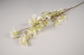 a685nn Cream artificial amelanchier H100cm