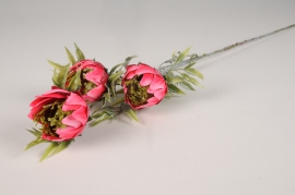 a694nn Protéa artificiel fuchsia H70cm