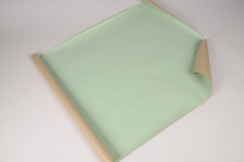 A700QX Ream of 250 green sheets kraft paper 60x80cm