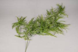 a705nn Green artificial aralia L100cm