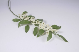 a714nn Euphorbe artificielle crème H85cm