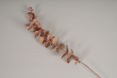a774nn Eucalyptus artificiel cuivr� H74cm 