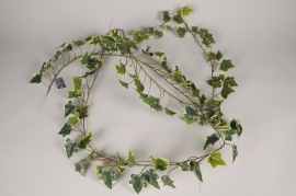 a822nn White and green artificial ivy garland L300cm