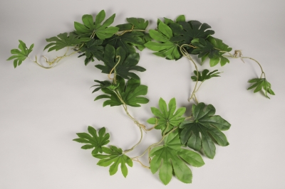 a823nn Pittosporum artificiel vert L100cm