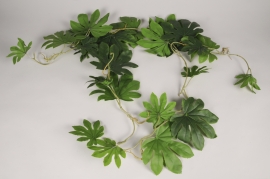 a823nn Pittosporum artificiel vert L100cm