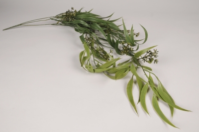 a830nn Green artificial eucalyptus H80cm