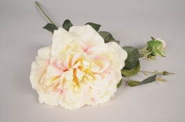 a839nn Cream artificial garden rose H78cm