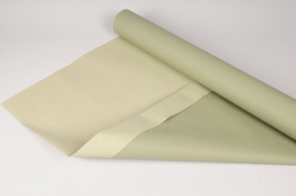 A846QX Rouleau de papier kraft Kaki / vert clair 80cmx50m