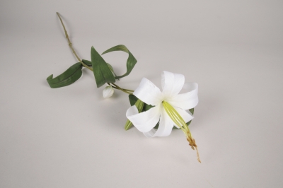 a855nn Lys artificiel blanc H70cm