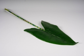 a910nn Green artificial leef calla H106cm