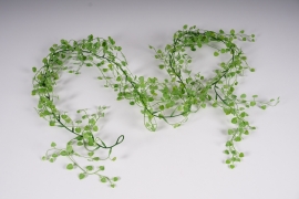 a911nn Garland of light green artificial callisia L161cm