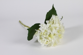 a929nn Hortensia artificiel blanc H50cm