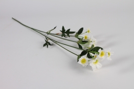 a934nn White artificial daisy H62cm