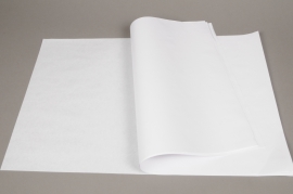 A936QX Rame de 250 feuilles papier kraft blanc 40 x 60cm
