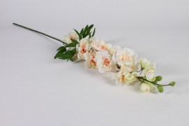 a938nn Delphinium artificiel crème H91cm 
