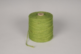 A946UN Green thread burlap roll 1kg