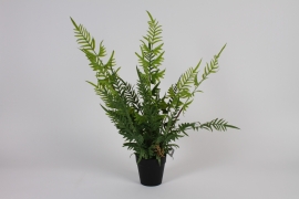 a949nn Green artificial tree fern H55cm