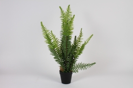a950nn Green artificial tree fern H58cm