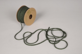 A952UN Green paper rope D4mm