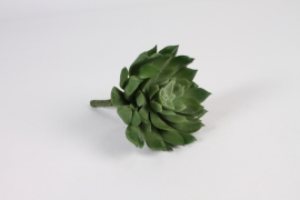 a953nn Succulente aéonium artificielle verte H13cm