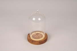 A983UN Cloche en verre avec plateau bois D9cm H14cm