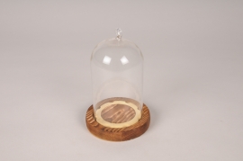 A983UN Glass dome with wooden tray D9cm H14cm