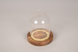 A984UN Glass dome with wooden tray D9cm H10.5cm