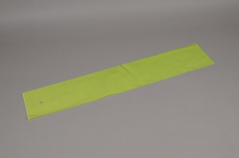 A997QX Paquet 100 &eacute;tuis vert L16cm H80cm