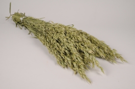 AB-000275 Natural dried oats H65cm