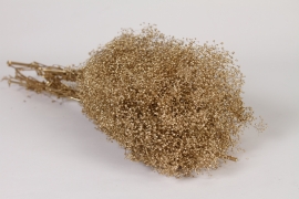 AB-000286 Gypsophile préservée or H50cm