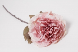 AM-000250 Pink artificial peony H68cm