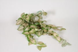 AM-000259 Piquet de caladium artificiel rose et vert H60cm