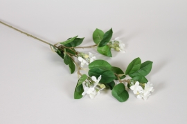 AM-000263 Branche de stephanotis artificielle blanc H90cm
