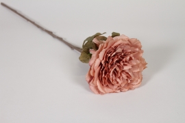 AM-000265 Pivoine artificielle vieux rose H68cm