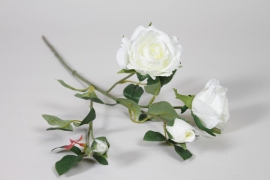 AM-000270 Branche de roses artificielles blanc H65cm