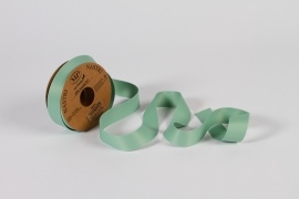 B013UN Sage green fabric ribbon 25mm x 20m