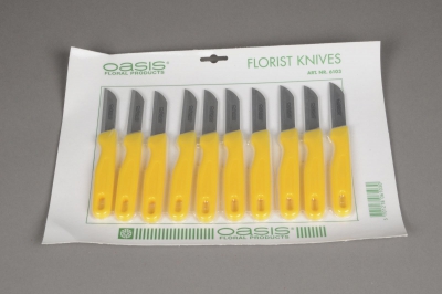 B047QV Paquet 10 couteaux fleuriste
