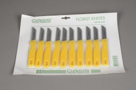 B047QV Set of 10 florist knives