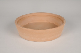 B095IH Coupe en terre cuite D24cm H6cm