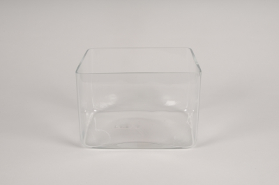 B165IH Jardini�re en verre 20x16cm H14cm