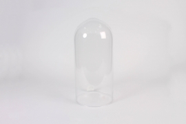 B235IH Clear glass dome D18.5cm H41cm