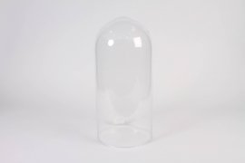 B236IH Clear glass dome D28cm H60cm