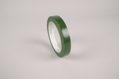 B236QV Pack of 10 green adhesive tapes floral