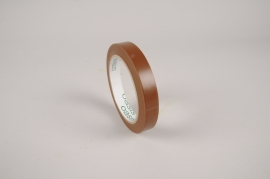 B237QV Pack of 10 brown adhesive tapes floral